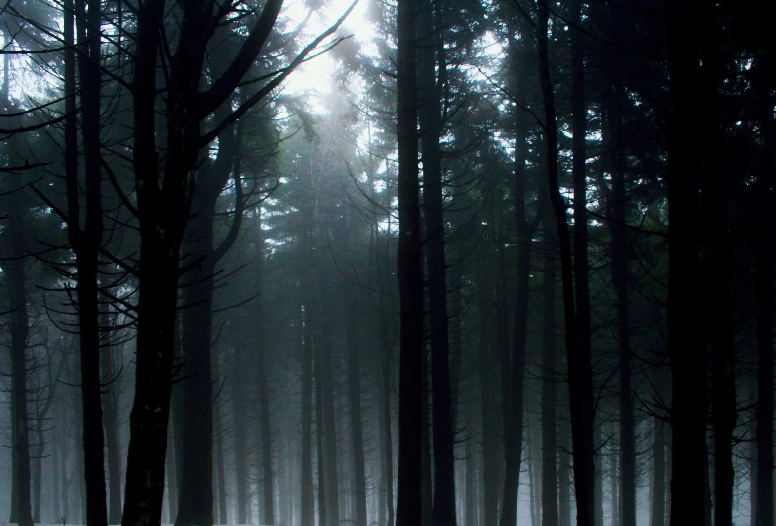 Grand Hotel Terme Roseo