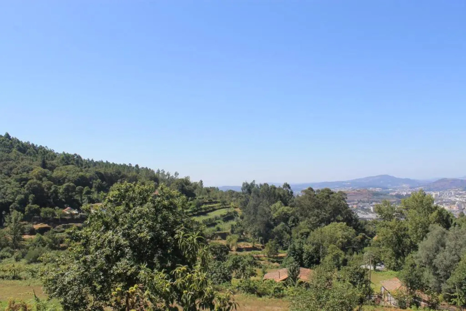 Quinta Do Bacelo, Casa Completa, 4 Quartos E Piscina