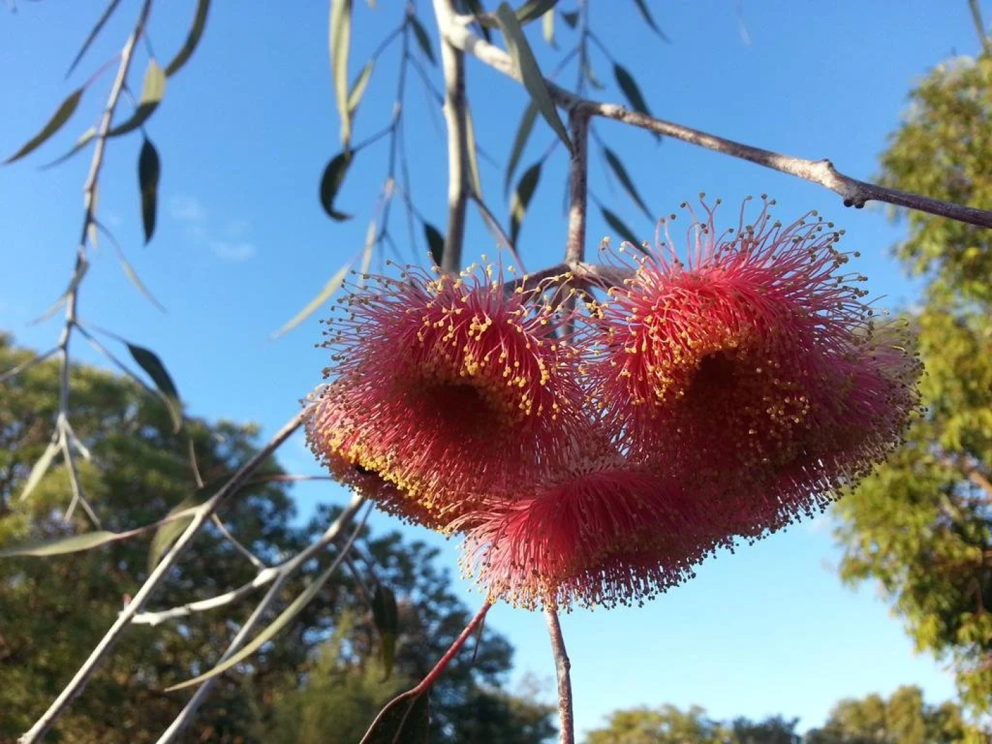The Goody House Bed & Breakfast