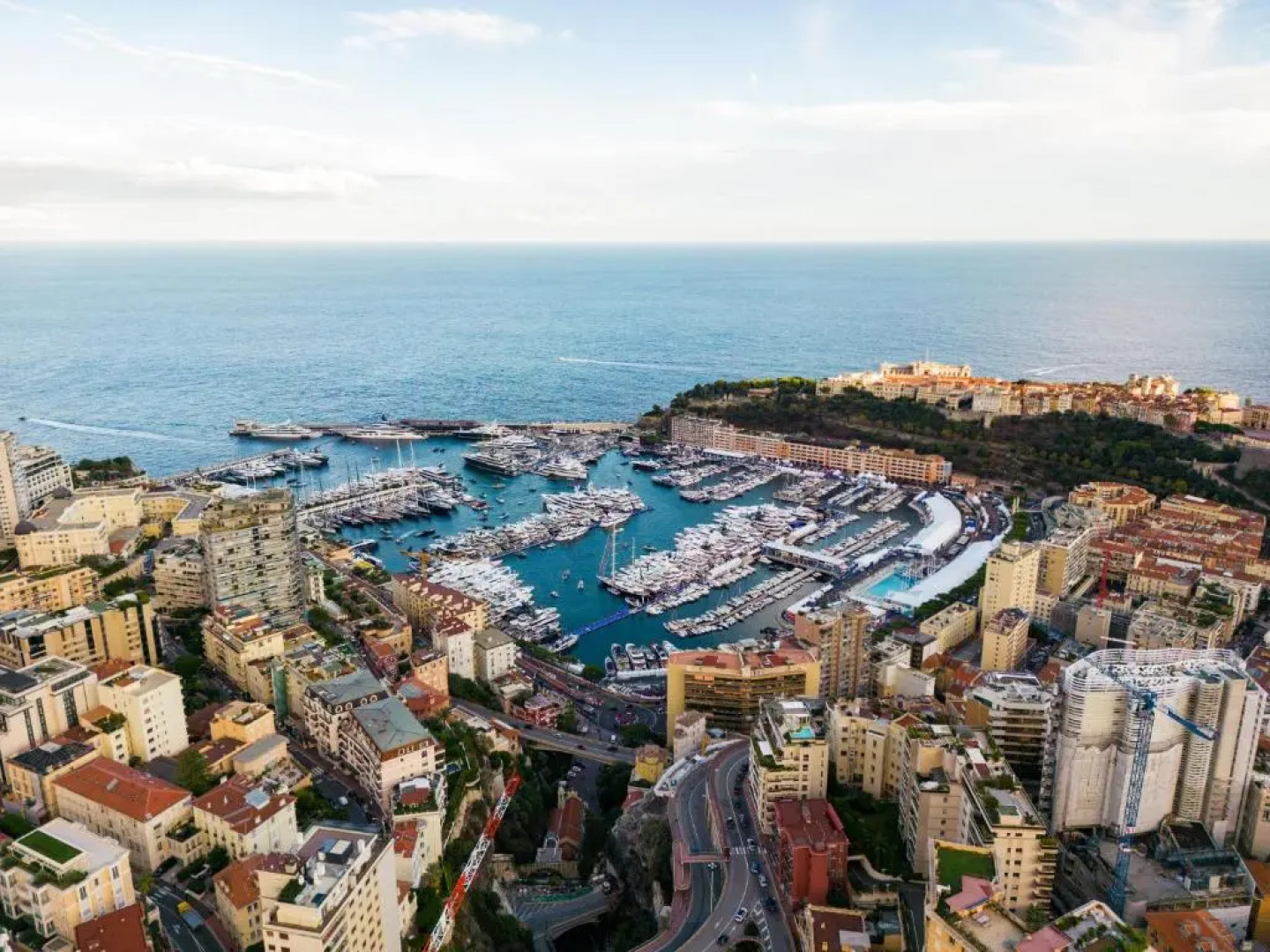 Le petit jardin exotique