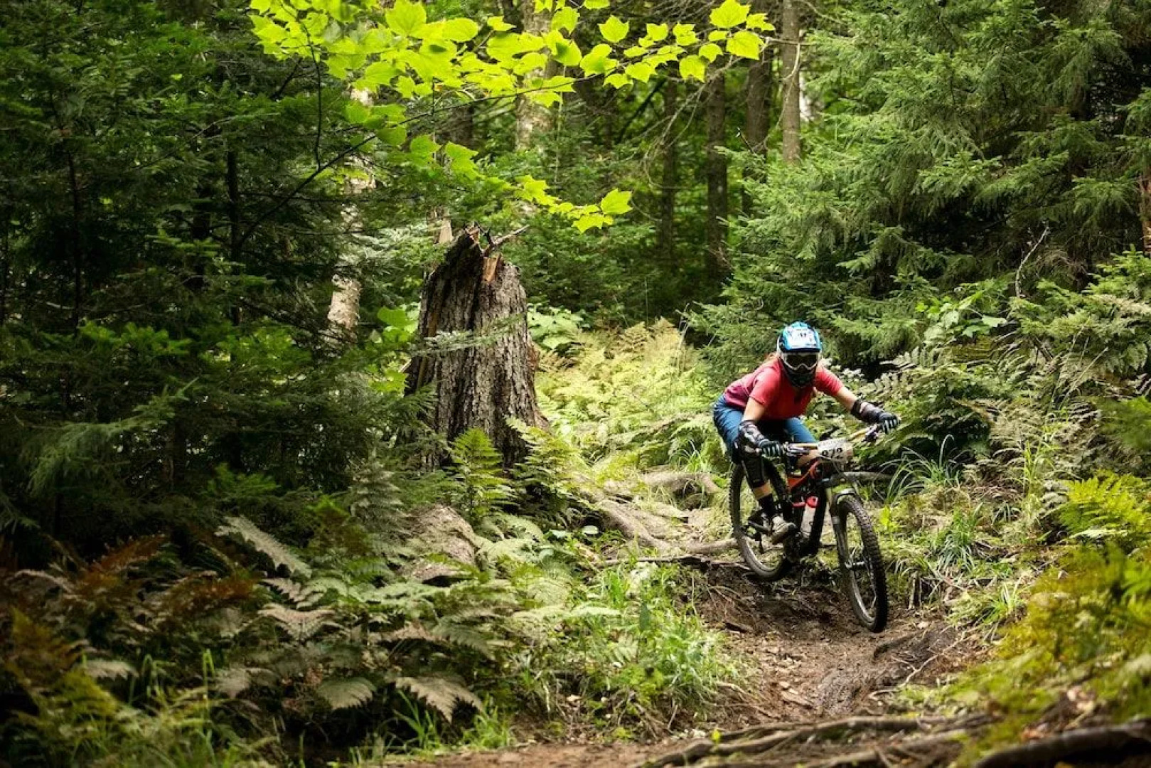 Fall Line Condominiums