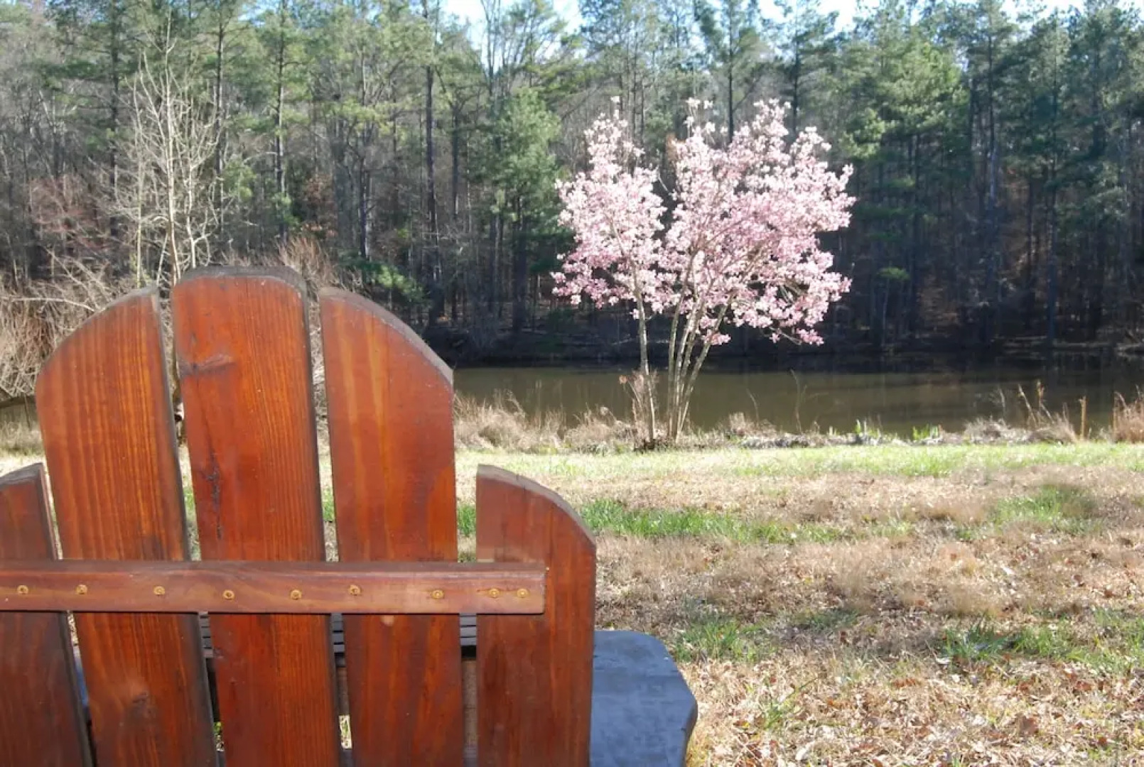 The Colonels B&B and Inn