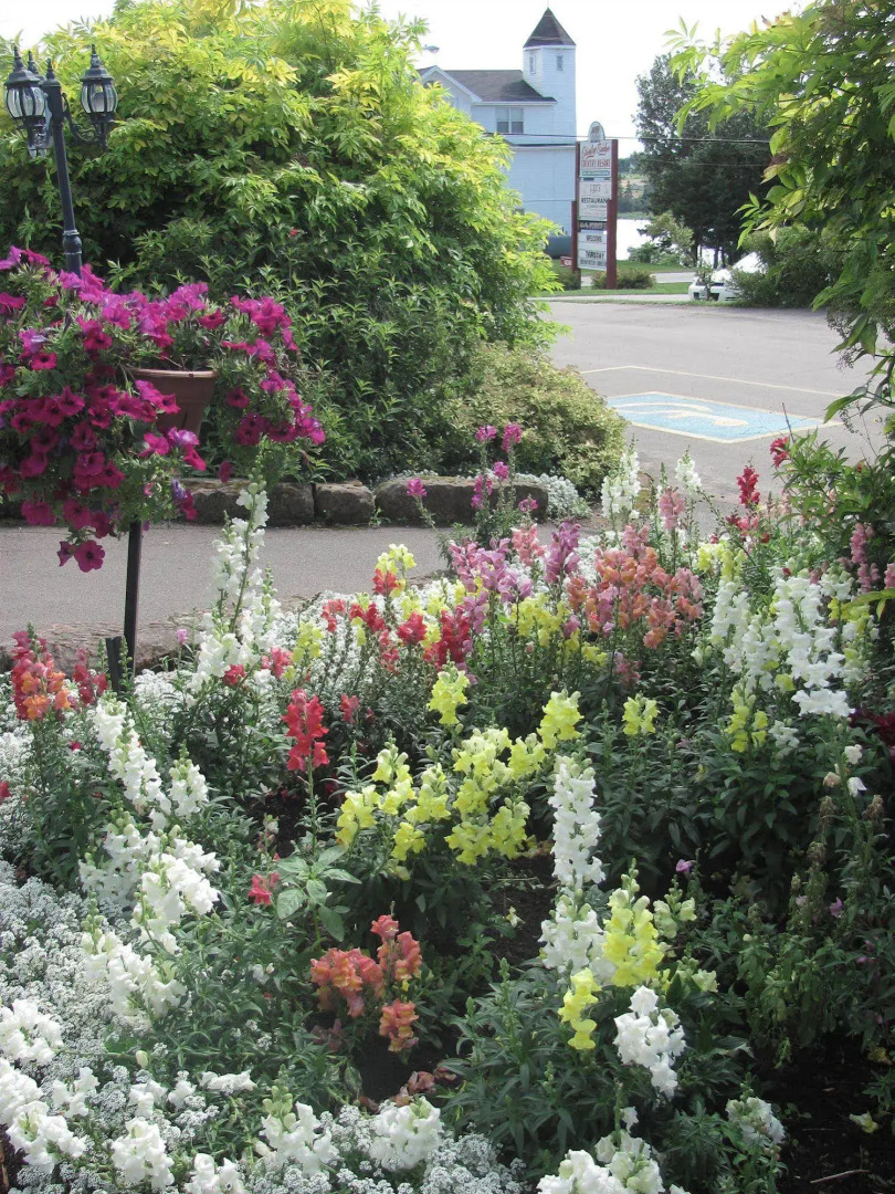 Stanley Bridge Country Resort