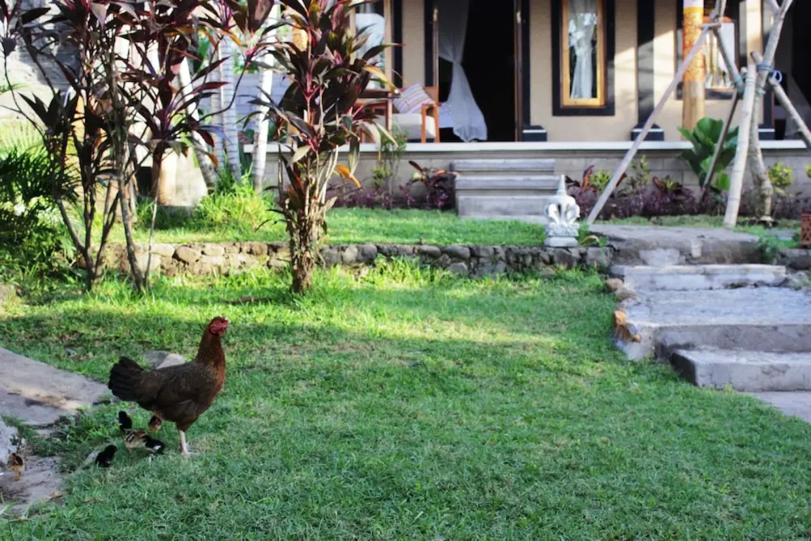 The Banyan Menjangan