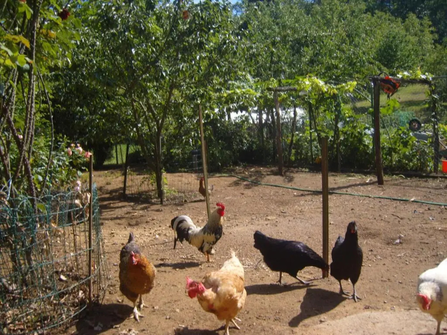 Gîte La Jaubertie Labellisé Handicap