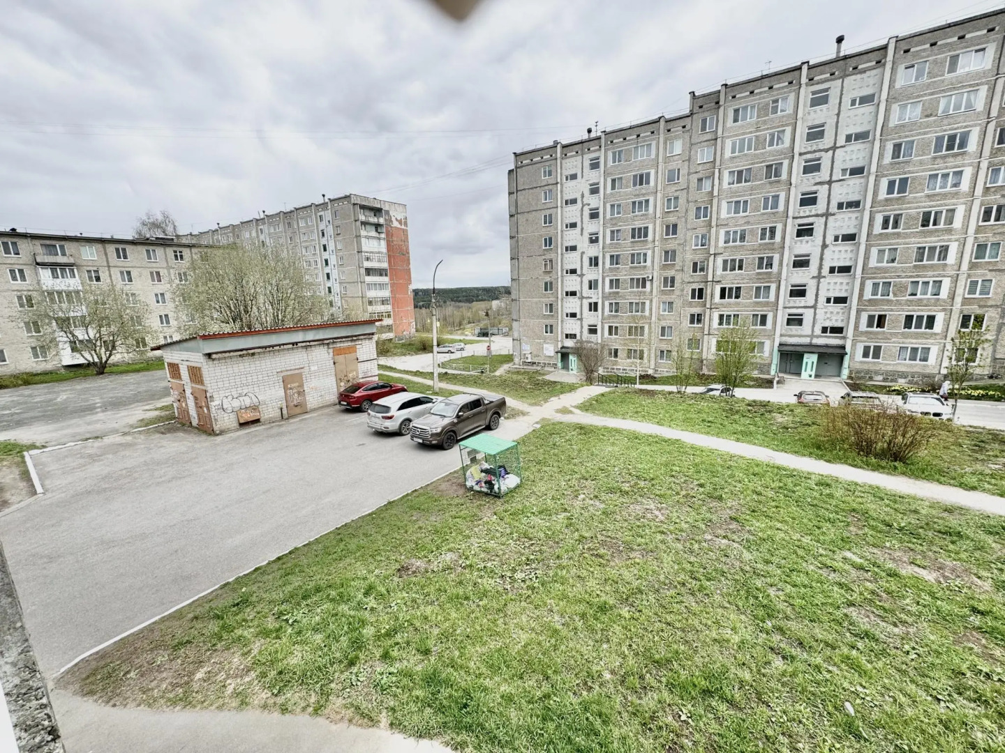 Барбарис на улице Мира 56