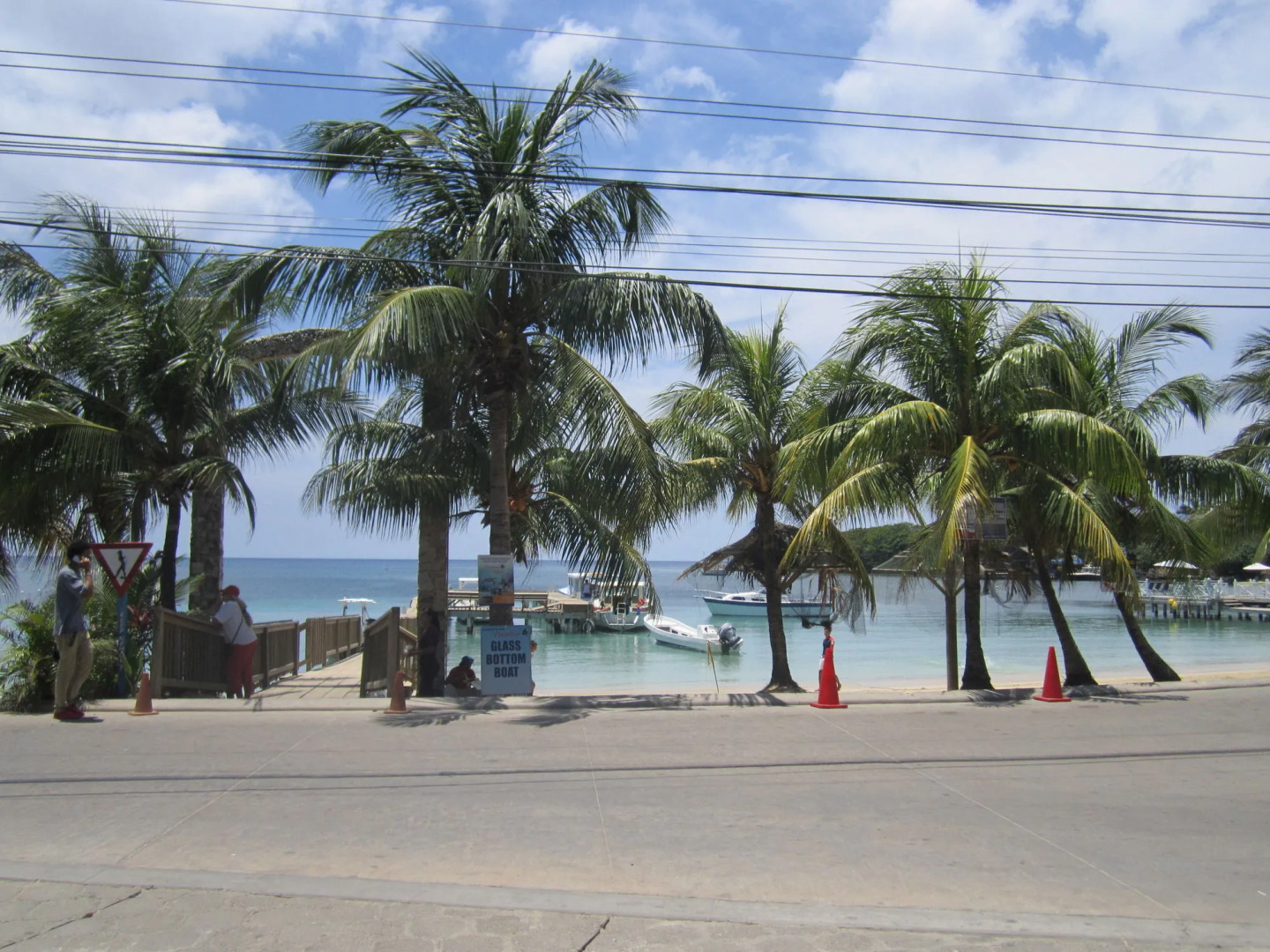 Coconut Tree West End