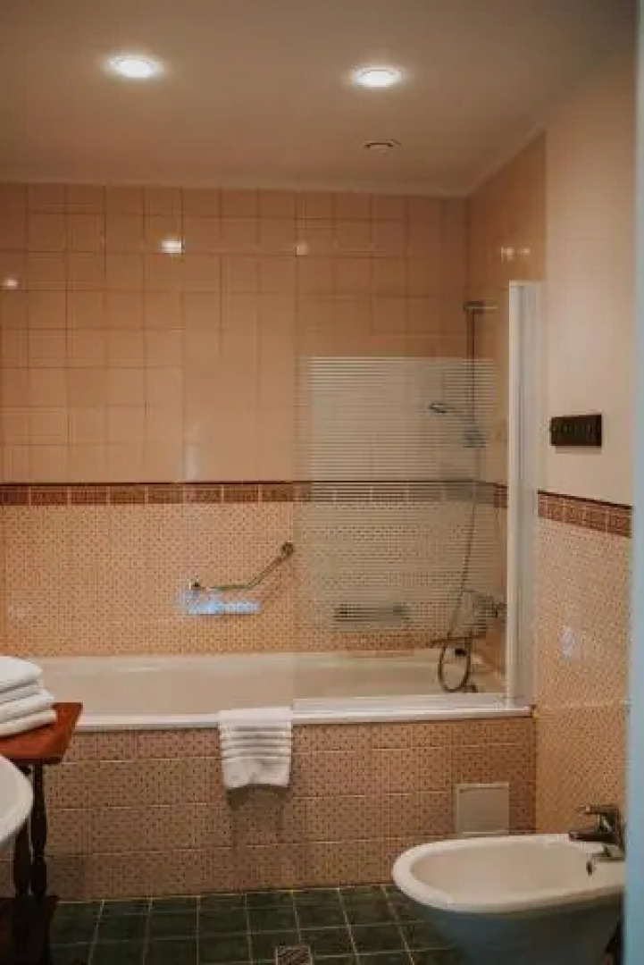 Hotel Mežotnes Palace