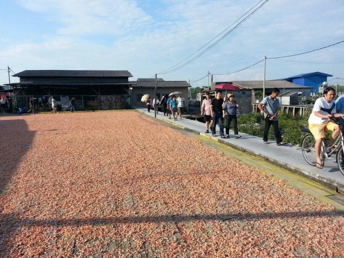 Sea Lion Hotel @ Pulau Ketam