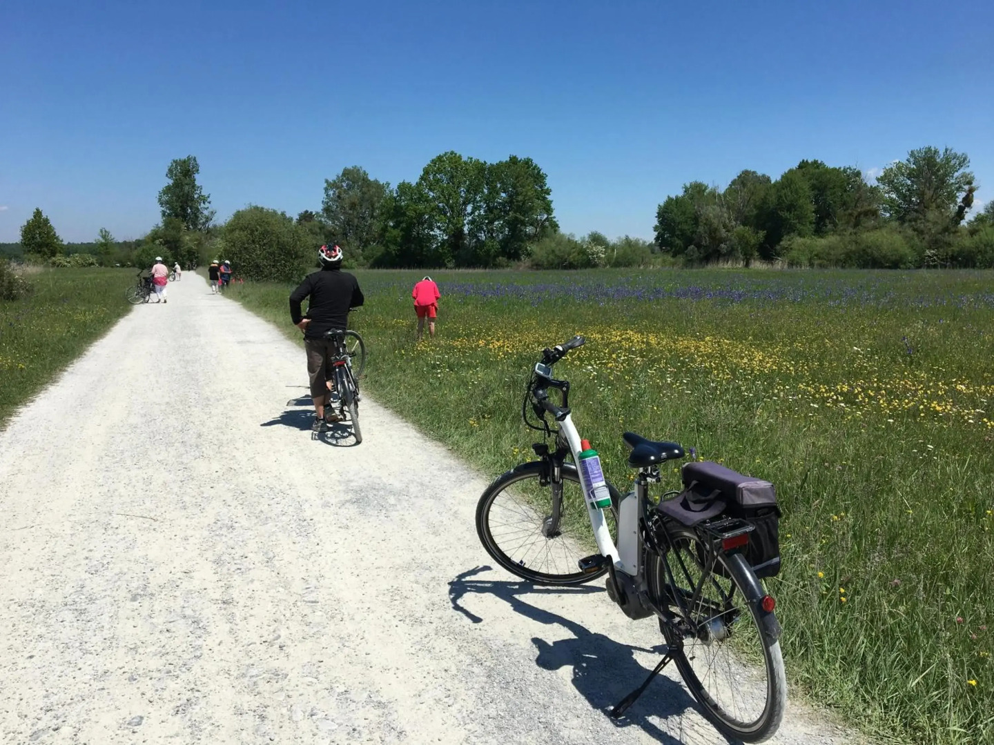 Haus Schussenblick OG