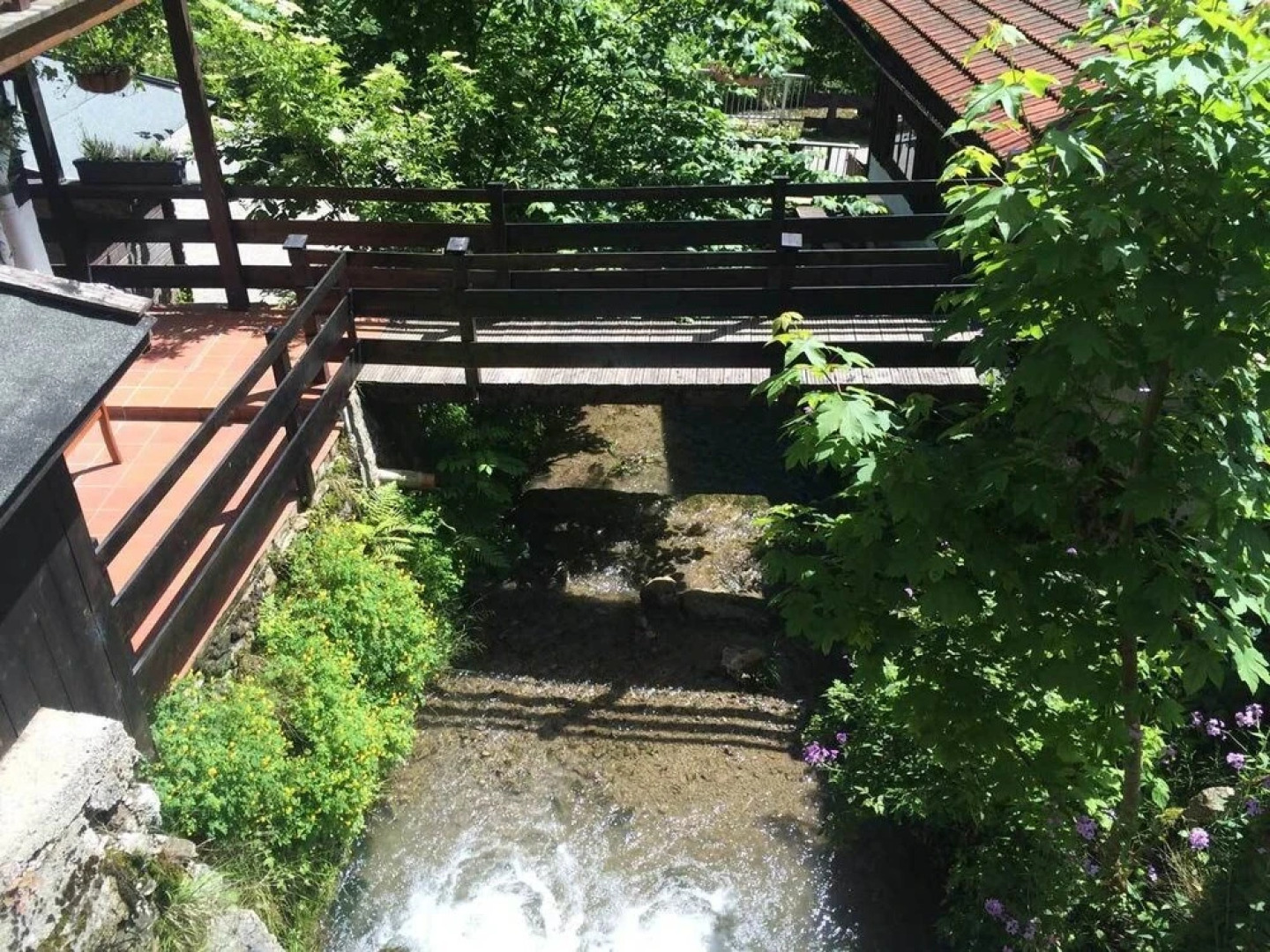 Wildromantisches Appartement am Bachlauf