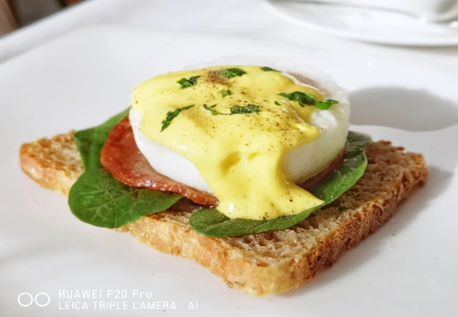 Bavaria Boutique Hotel