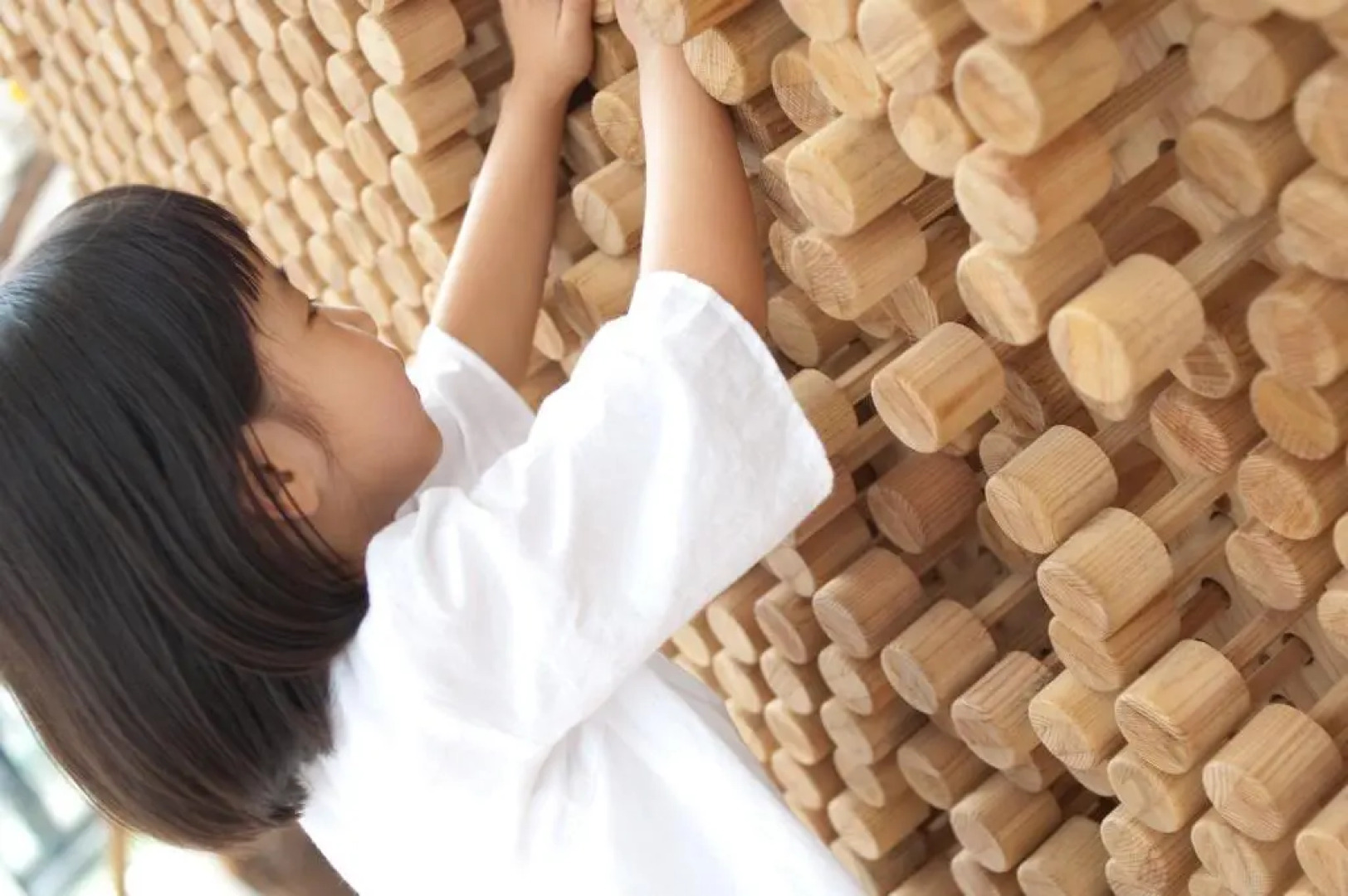 Seagaia Forest Cottages