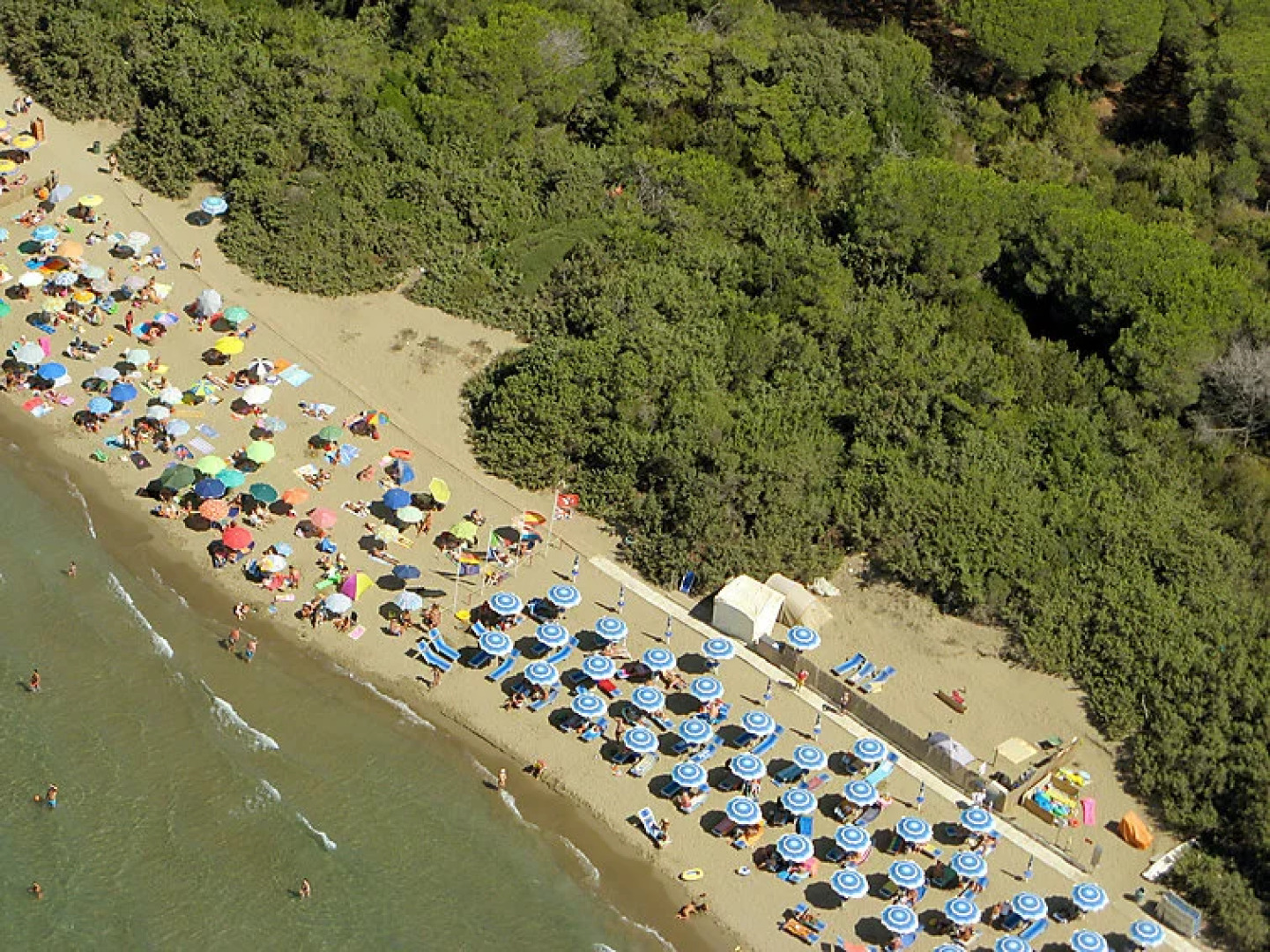 Locazione turistica Barracuda