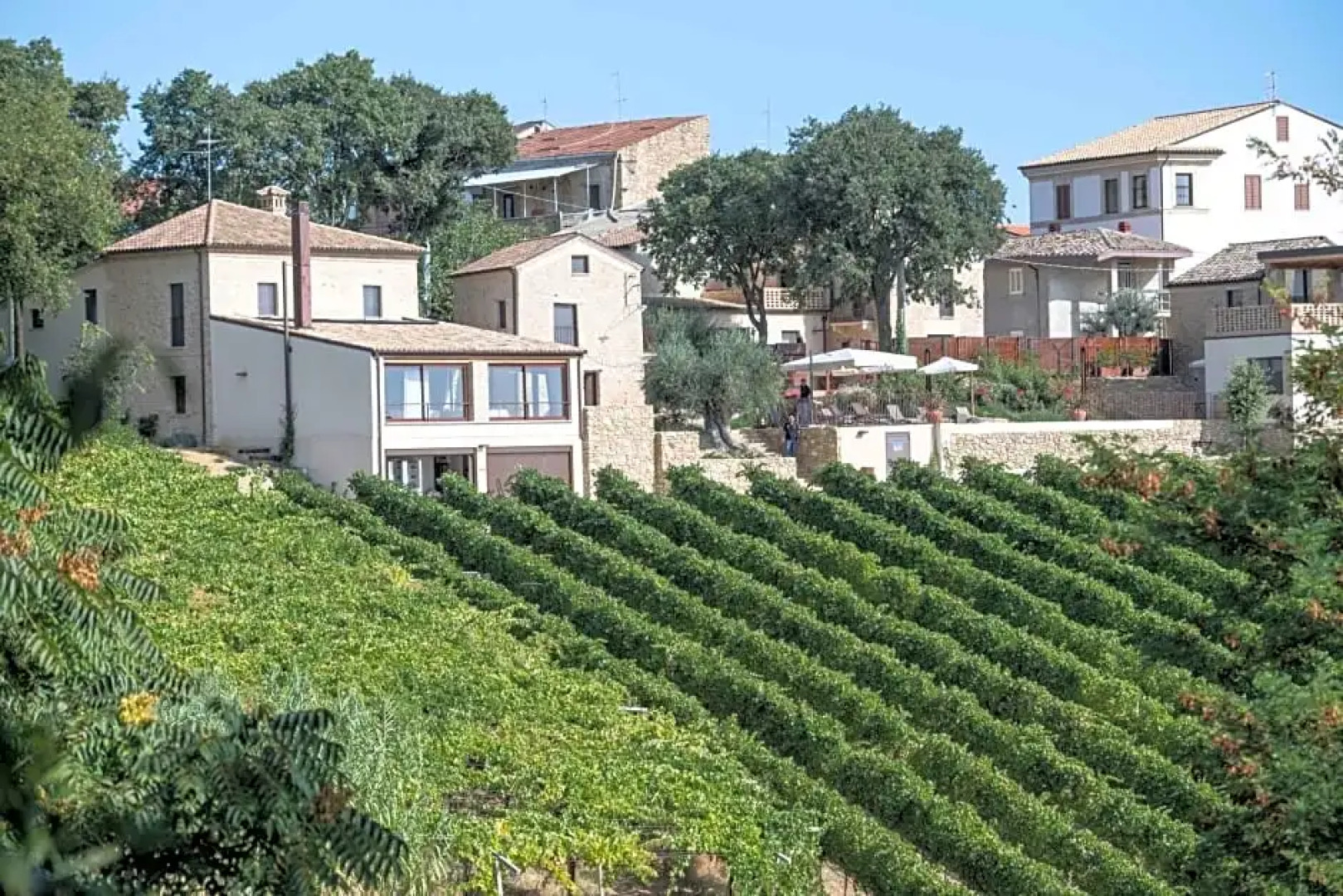 Borgo Baccile by Vini Fantini