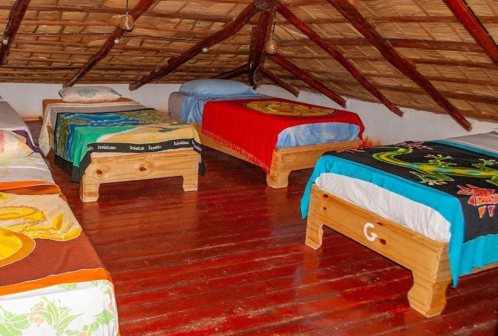 Hostel La Ballena Backpacker