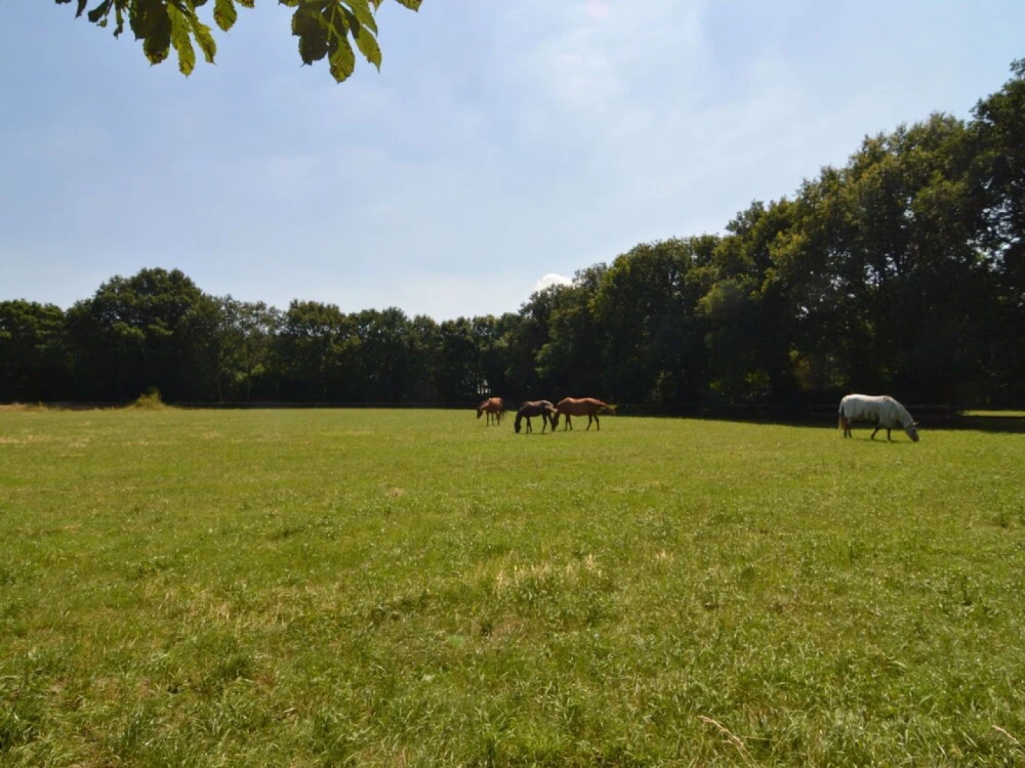 Magnificient Mansion in Peer With Spacious Garden