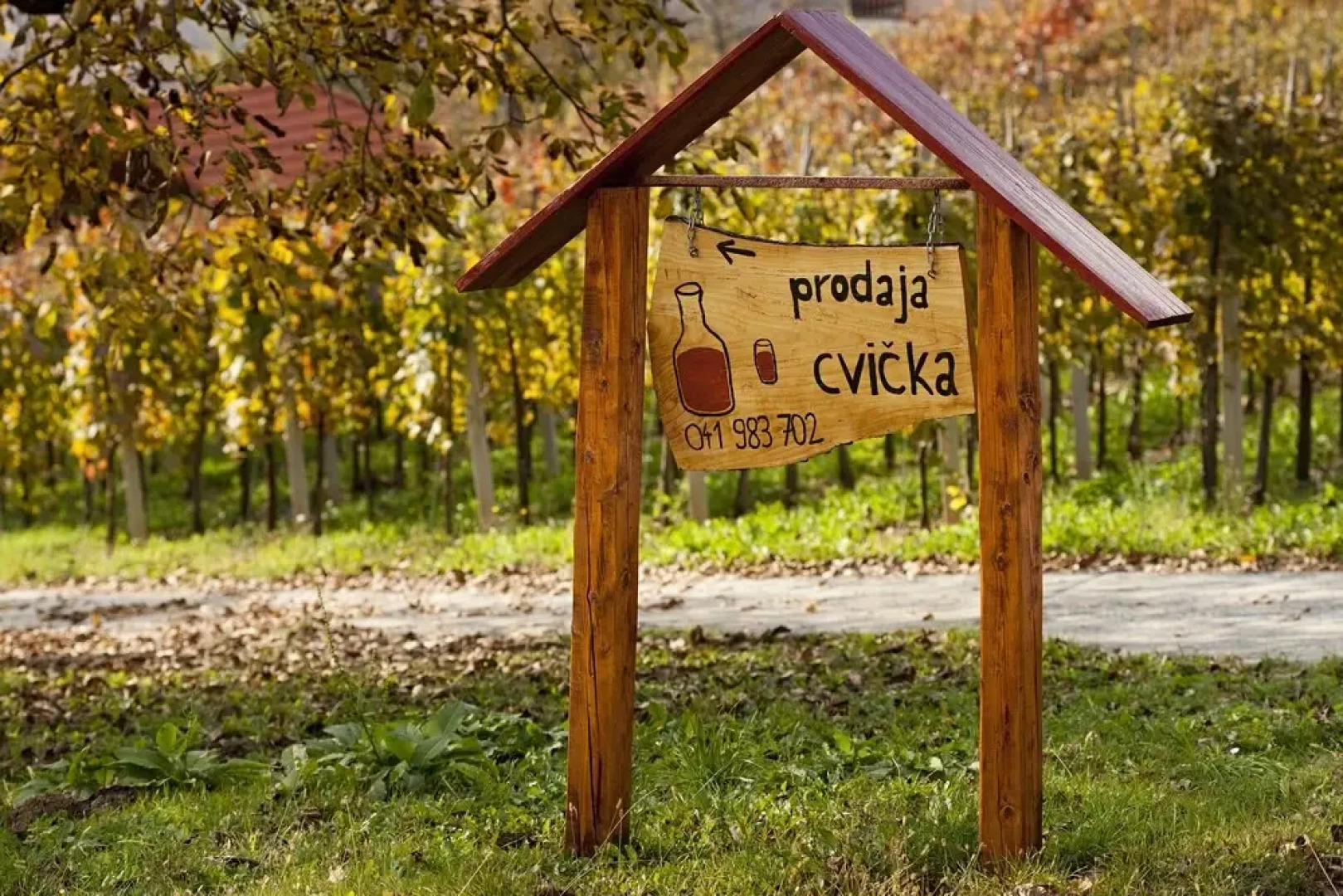 Vineyard cottage Ucman