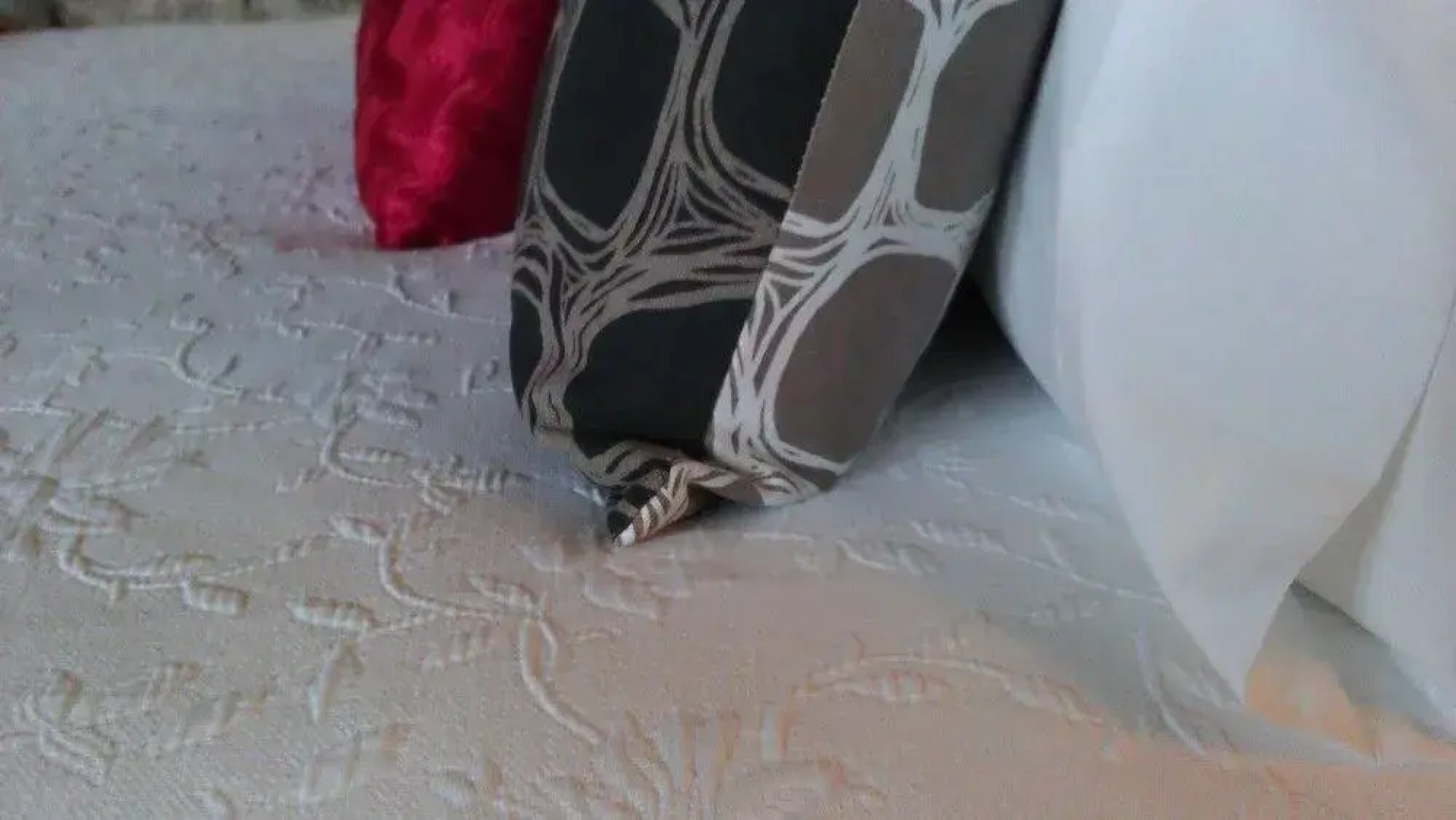 Angel's Aisle Cottages