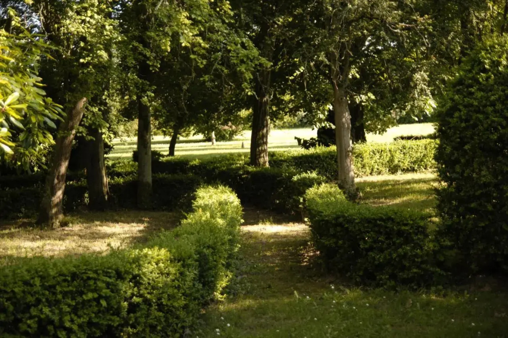 Les Buis de Saint Martin