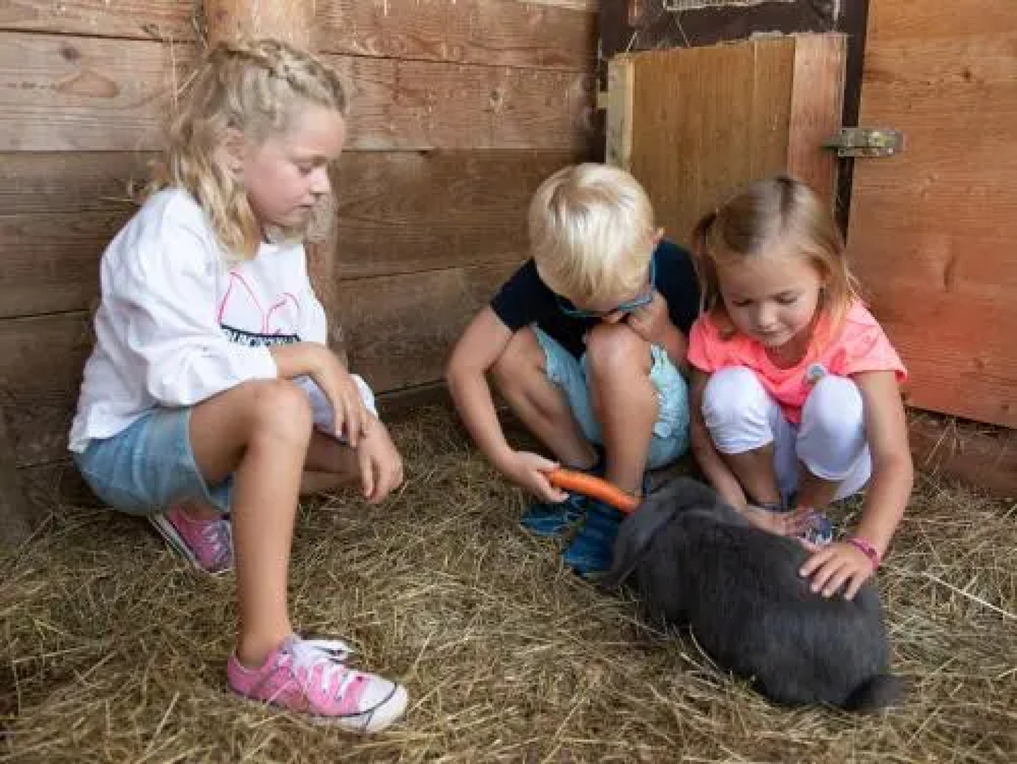 Apartment Viola Altenmarkt