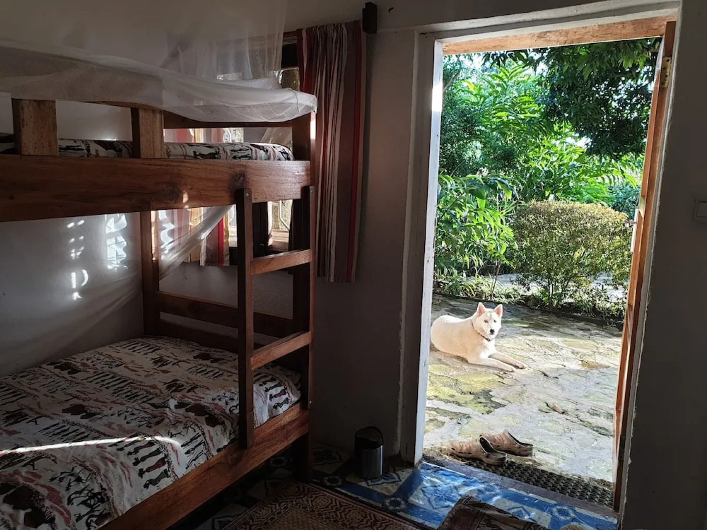 Alison & Dave's Guesthouse