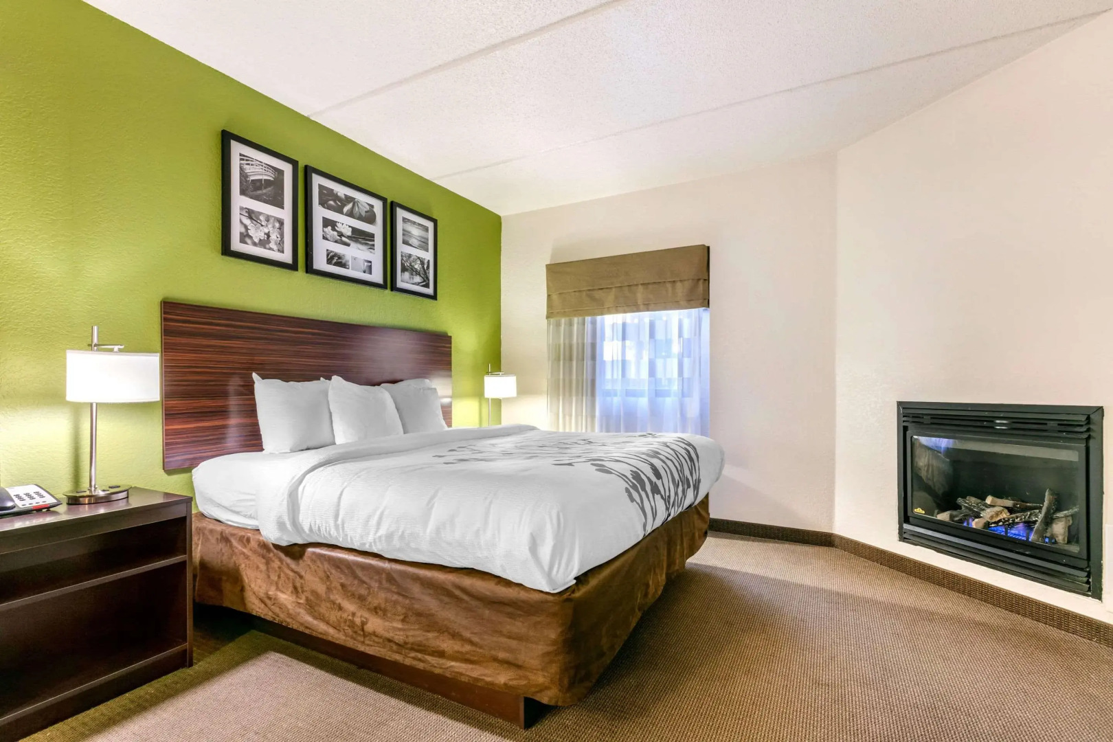 Sleep Inn & Suites near Sports World Blvd