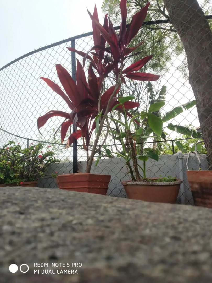 Raghunandan Resort