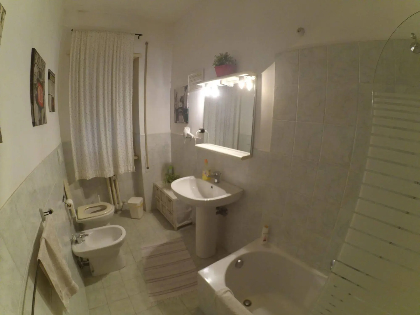 La Stella di Roma B&B