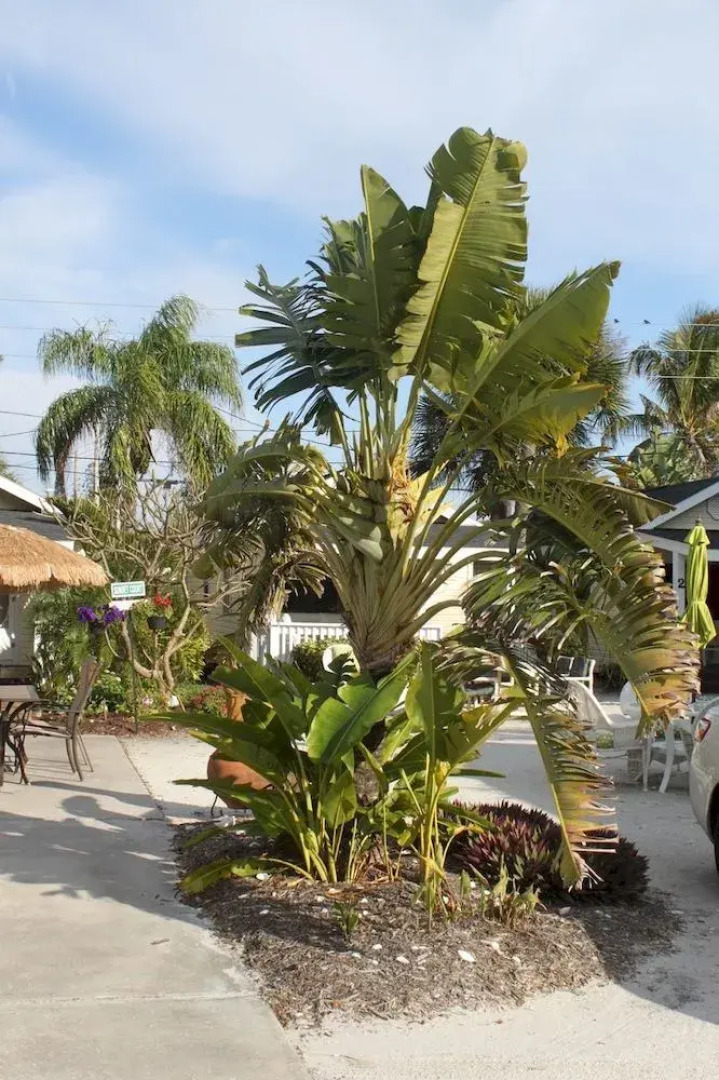 Sunset Beach Cottages