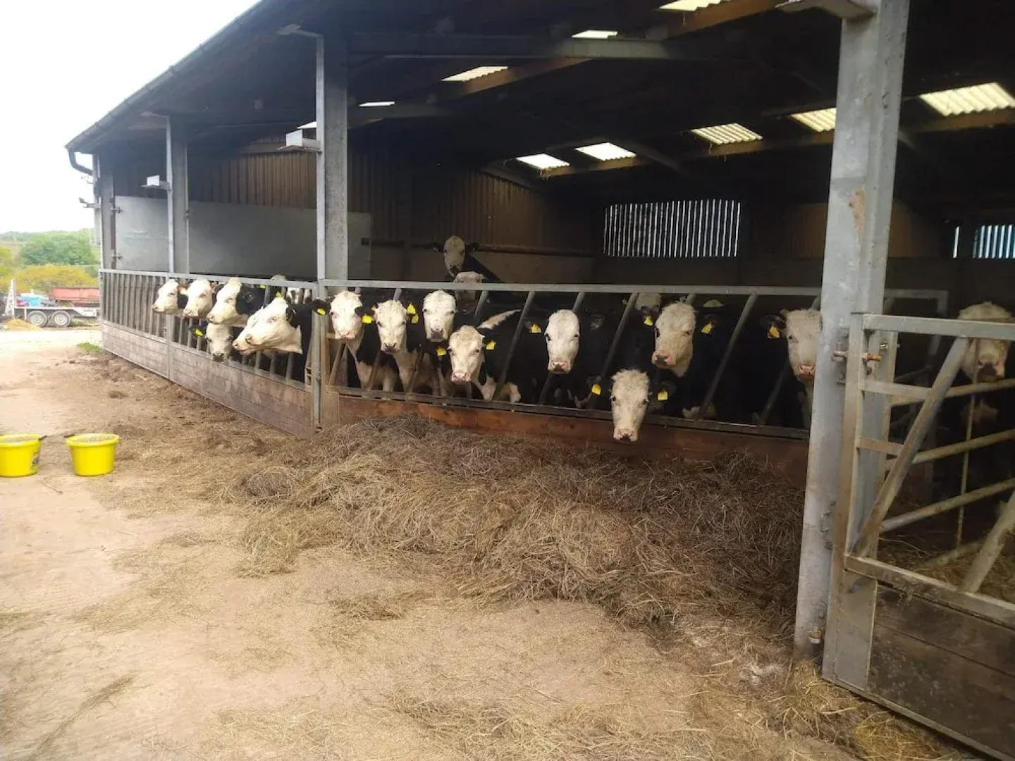 Open Plan Studio by Alton Towers