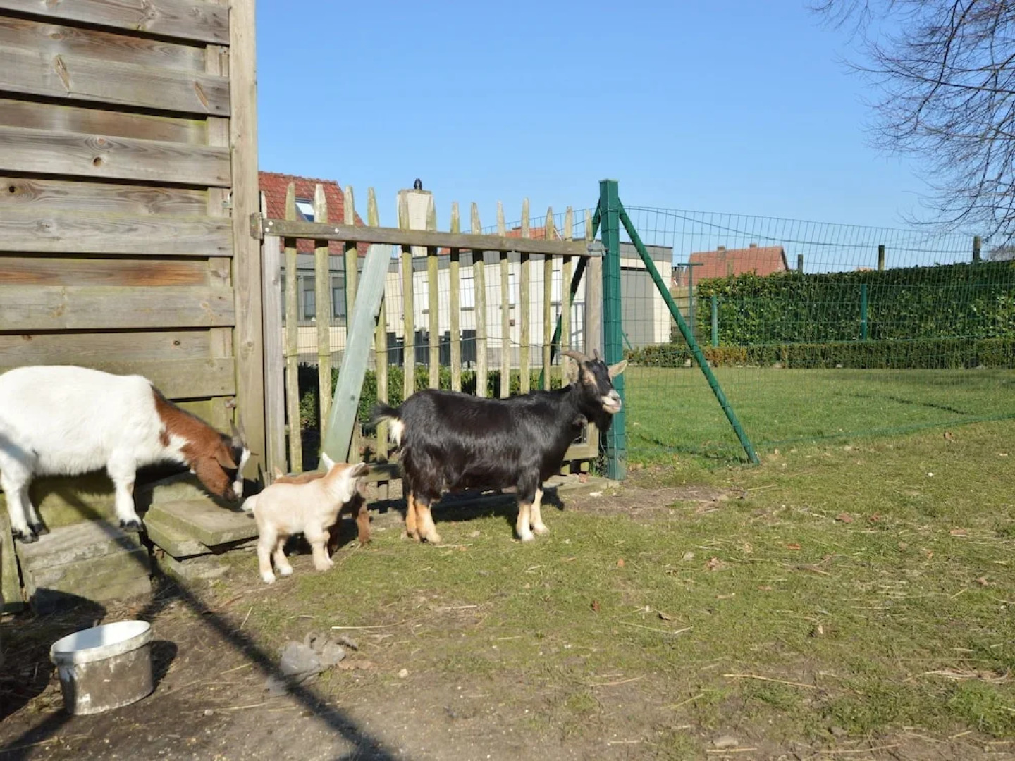 Spacious Holiday Home near Forest in Peer