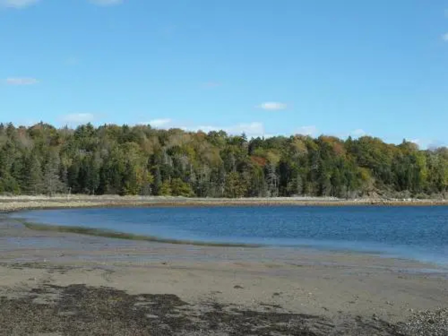 Atlantic View Motel and Cottages