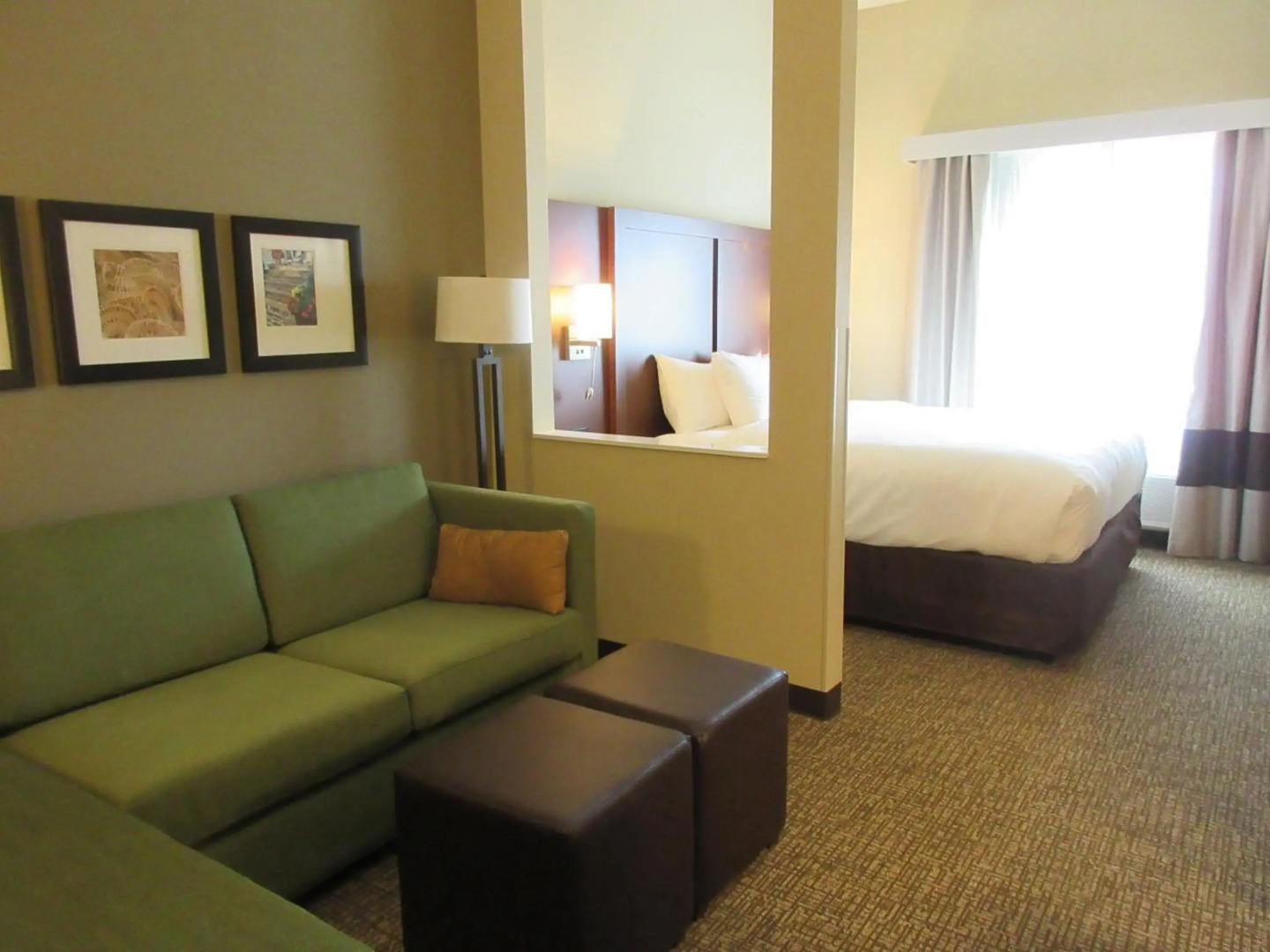 Comfort Suites Summerville North