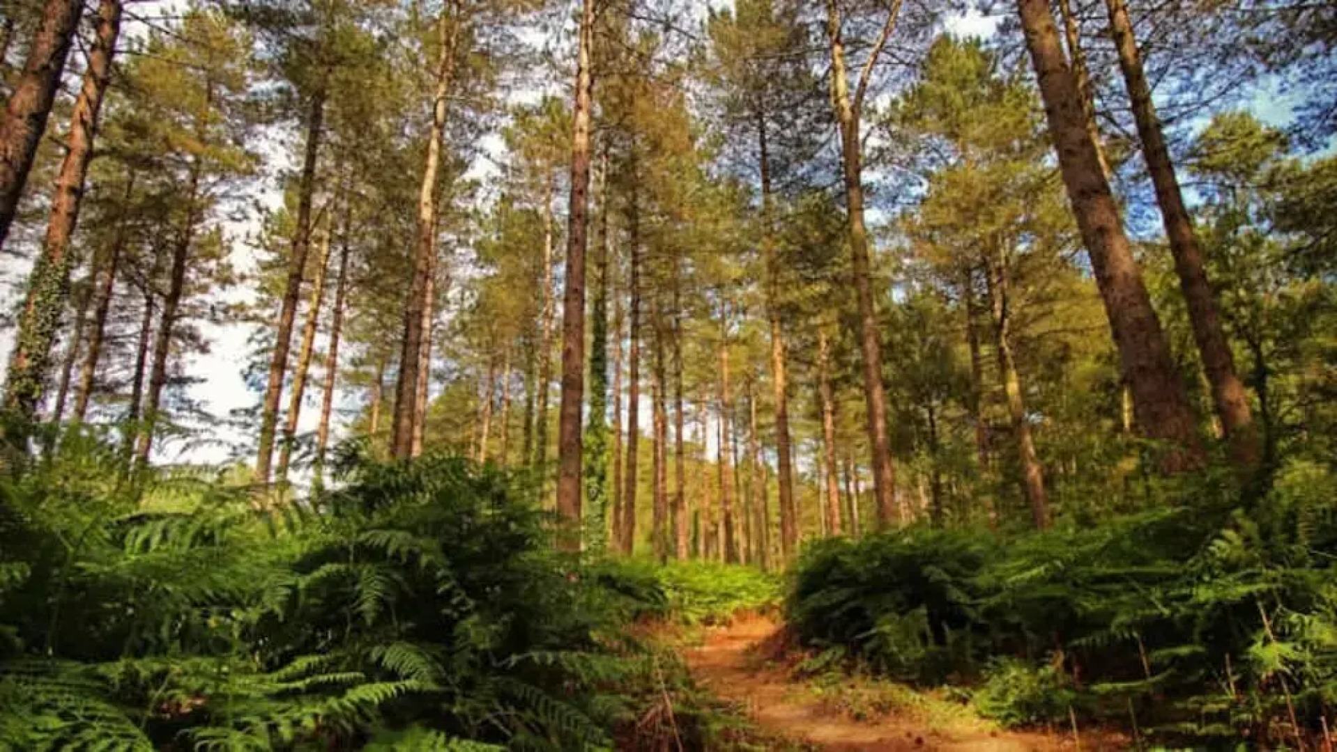 Caravan - Sleeps 4 - Pool - Pet Friendly