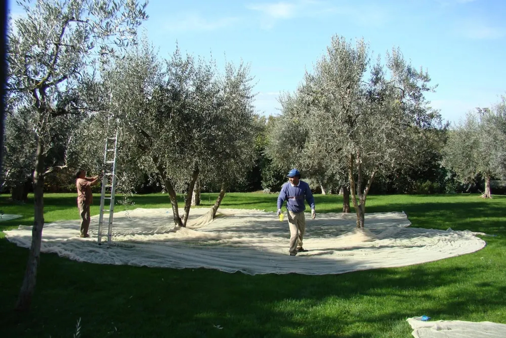 La Canonica Di Cortine