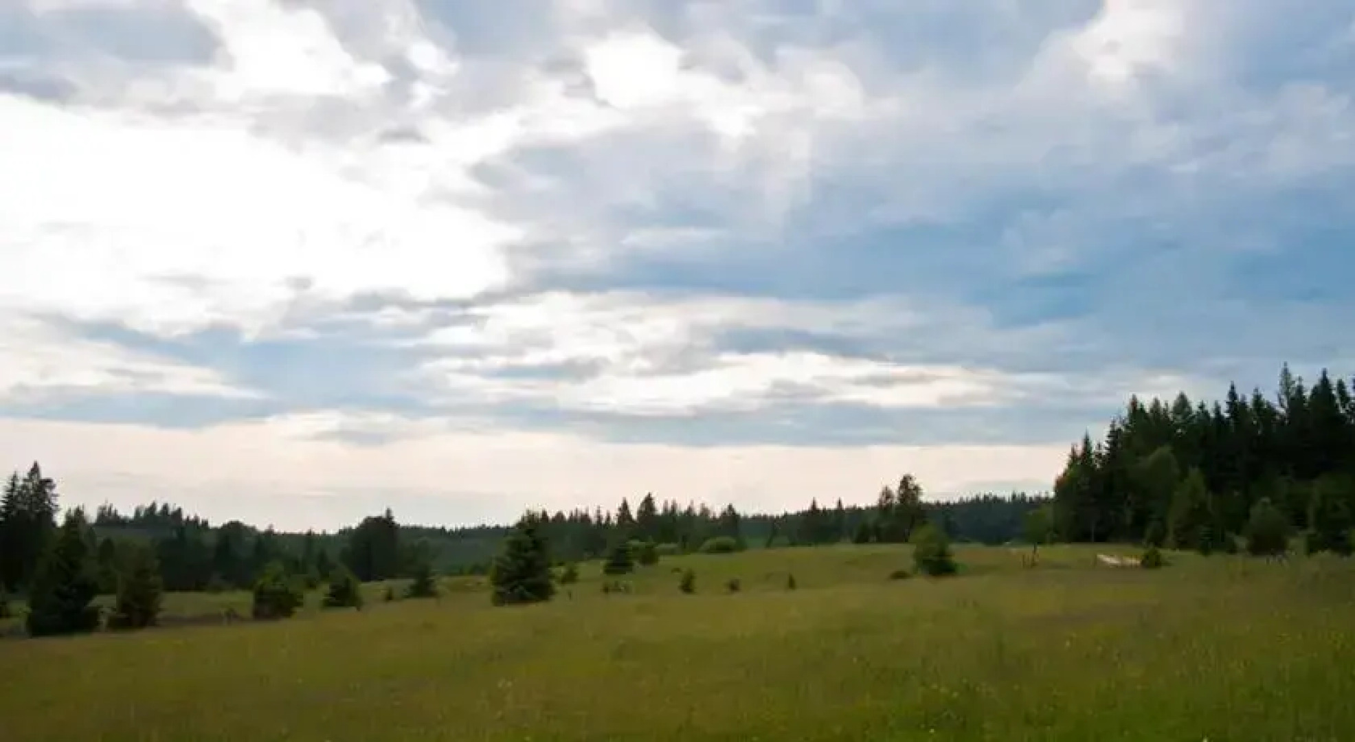 Rezydencja Leśny Dwór