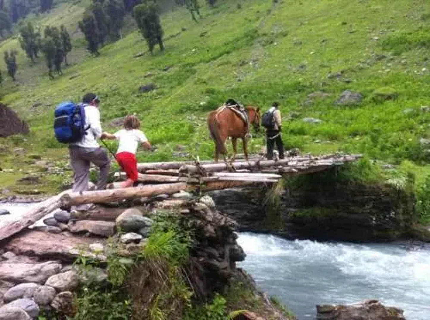 Paradise Guest House