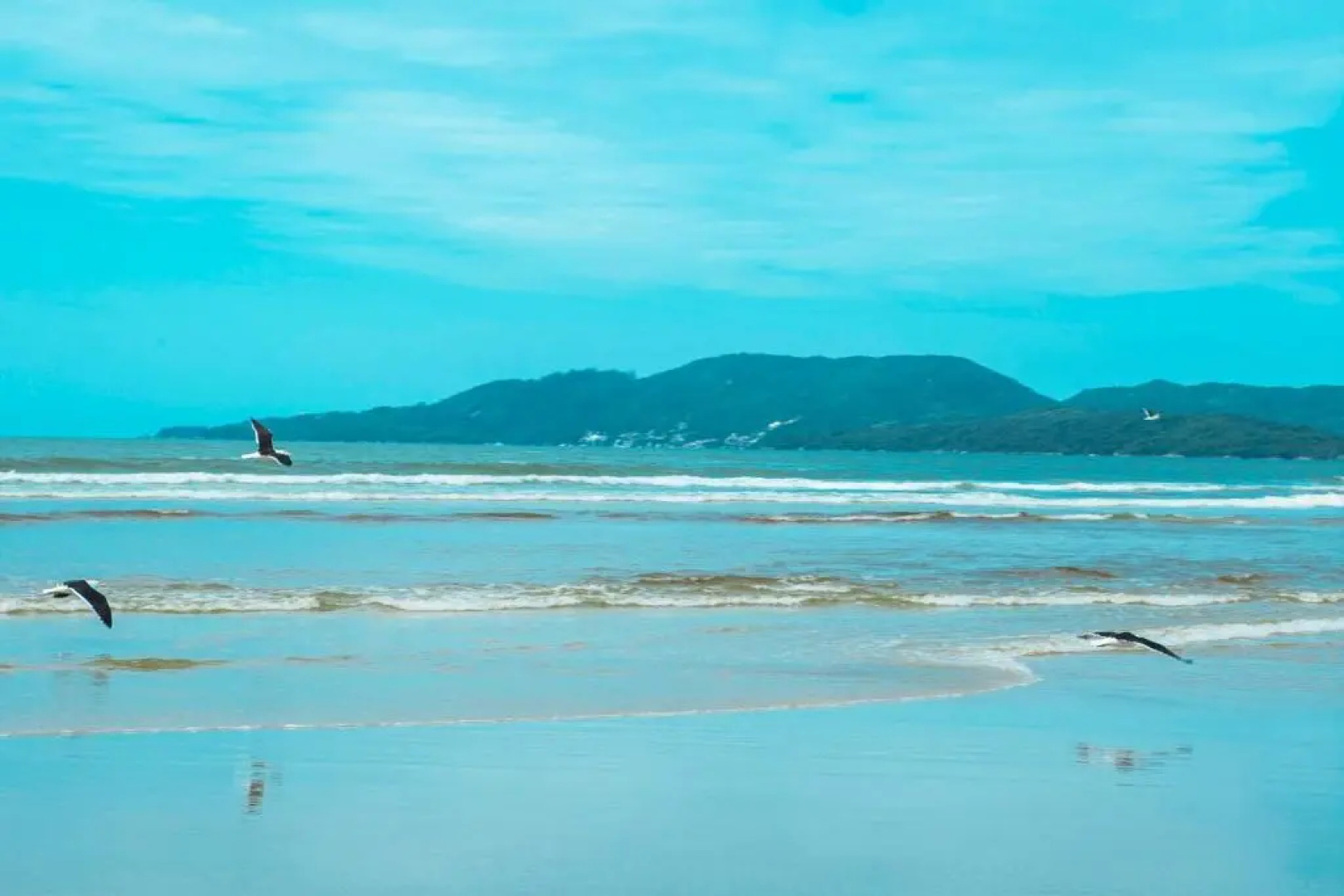 Hotel Itapema Meia Praia