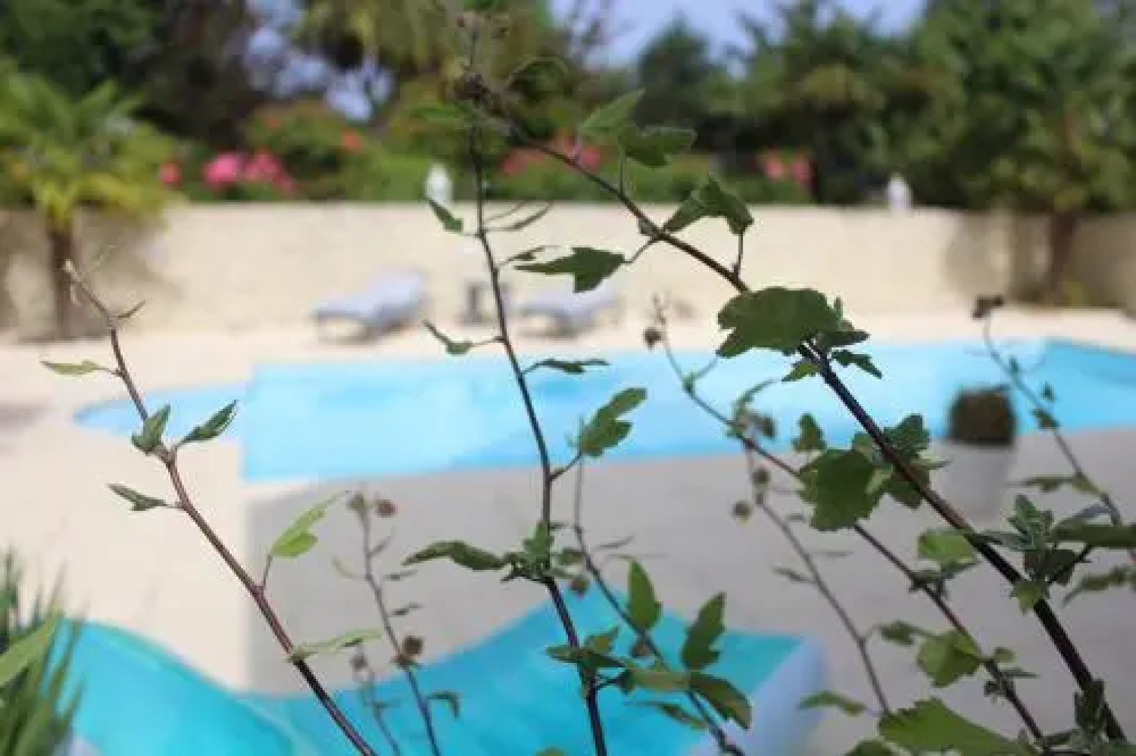 Au Jardin D'etaville