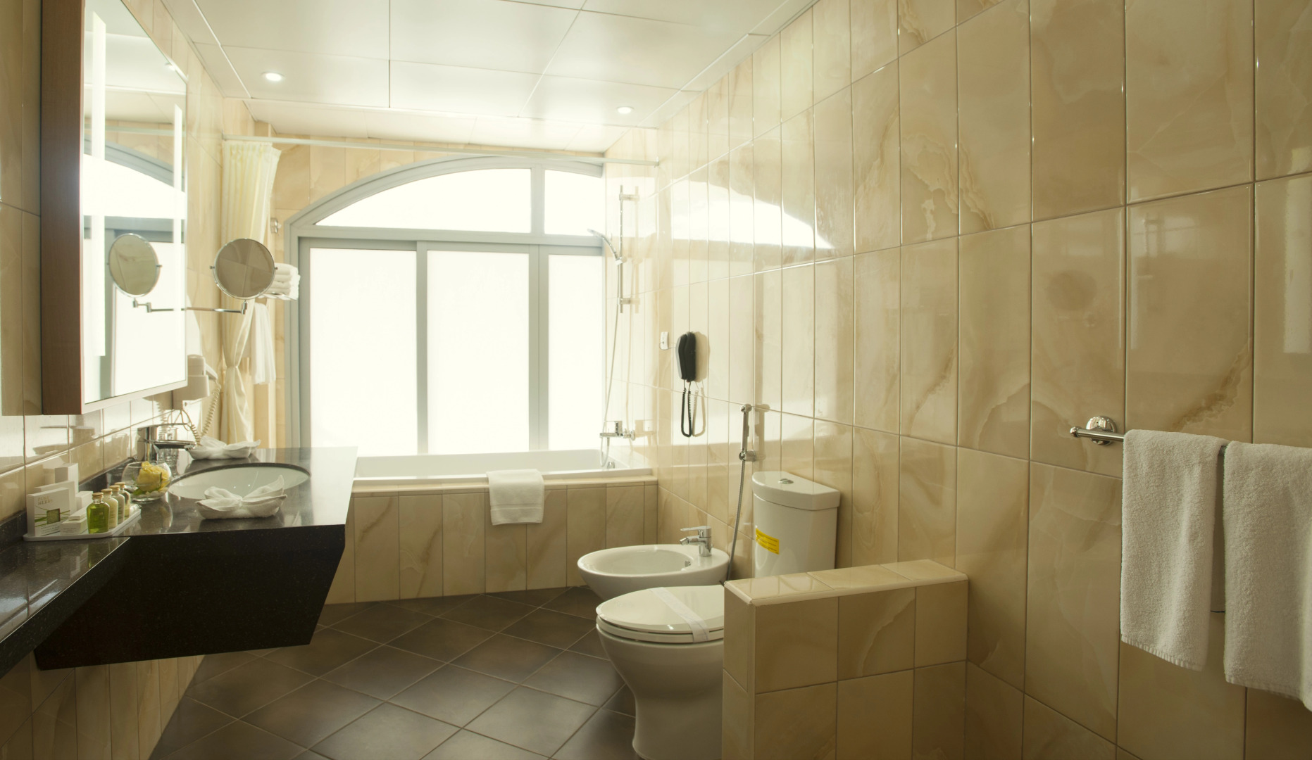 Occidental Sharjah Grand