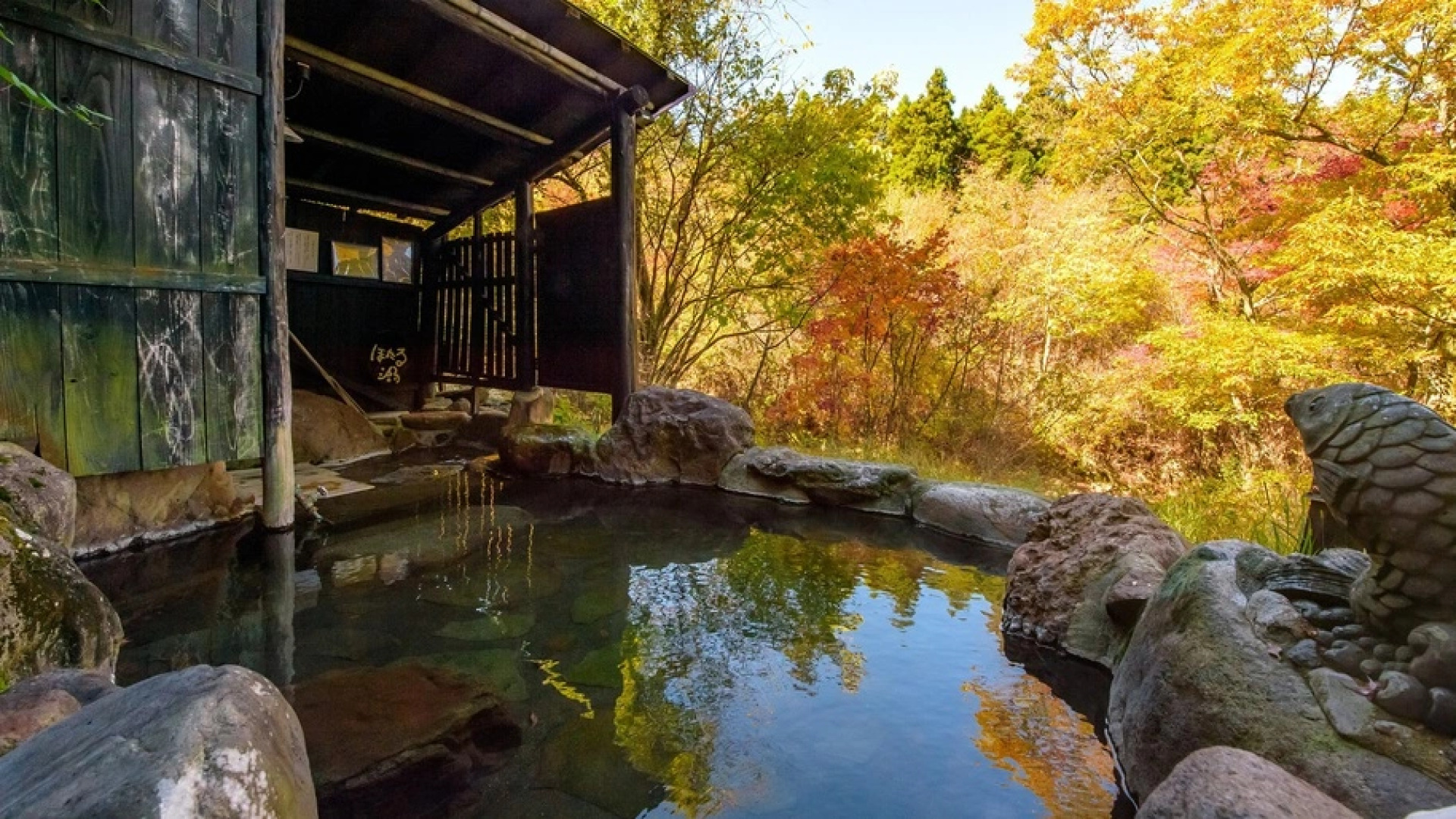 Sujiyu Onsen Kujyu Iyashi no Sato Hotel Dai Kogen