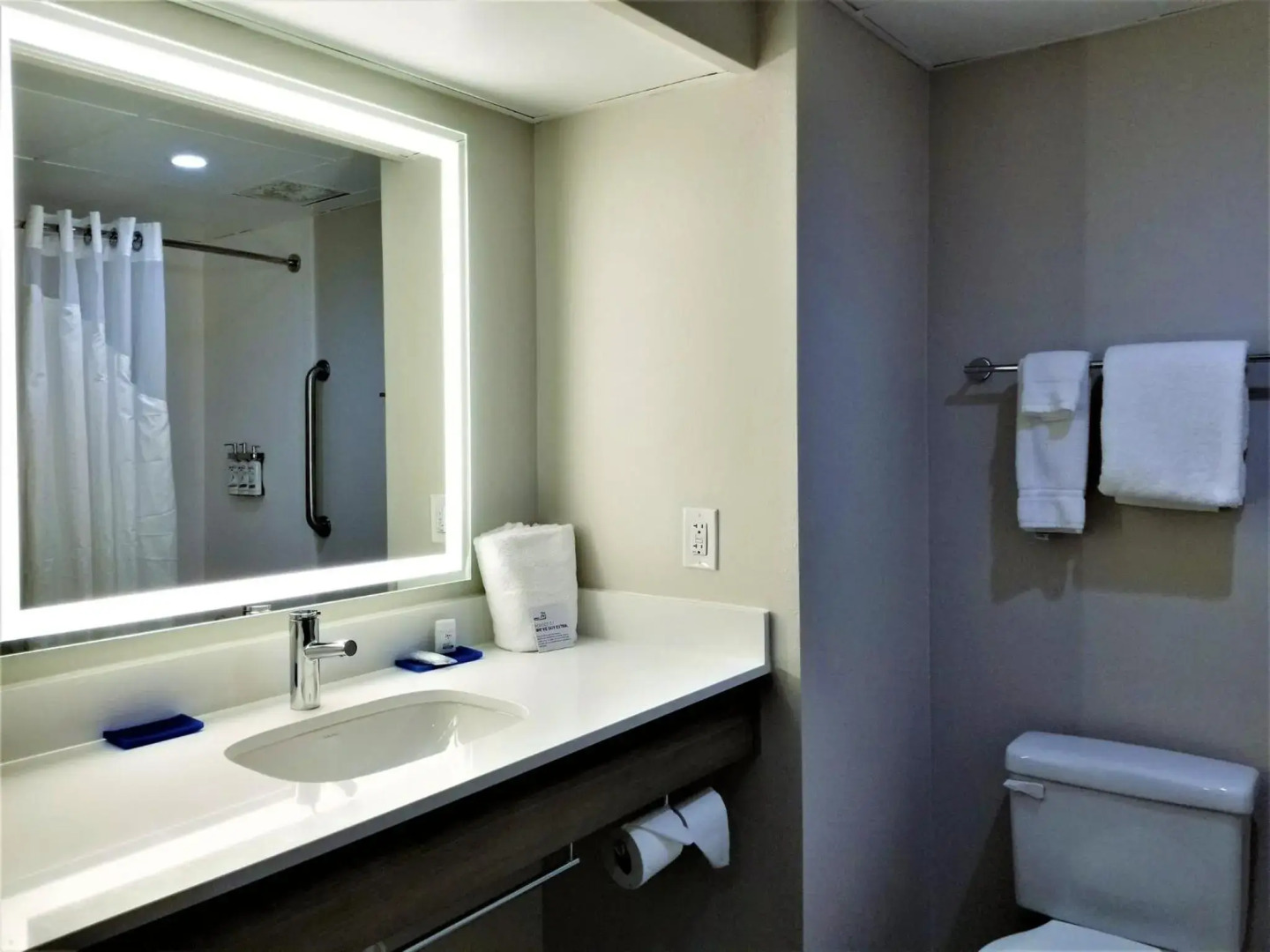 Holiday Inn Express Apex - Raleigh by IHG