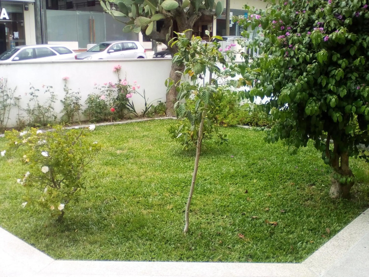 Home Sleep Home Fafe