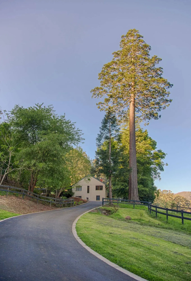 Toorongo River Sanctuary