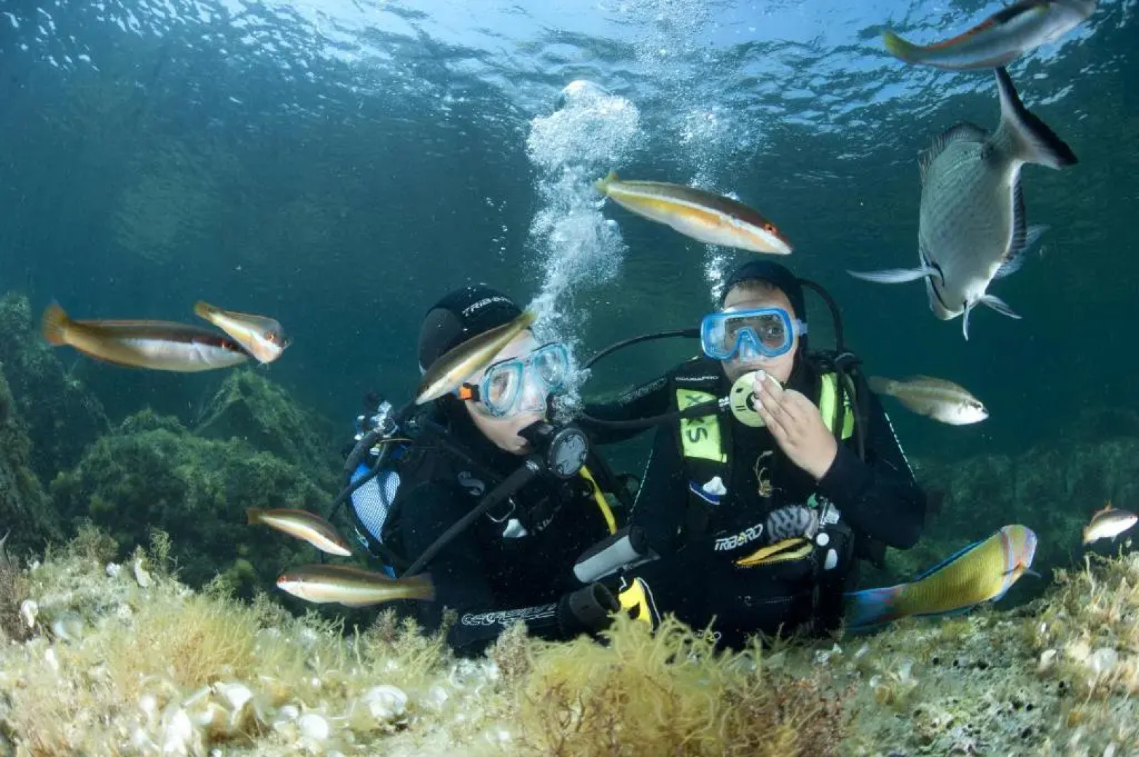 Studio Kalliste - Vision Luxe