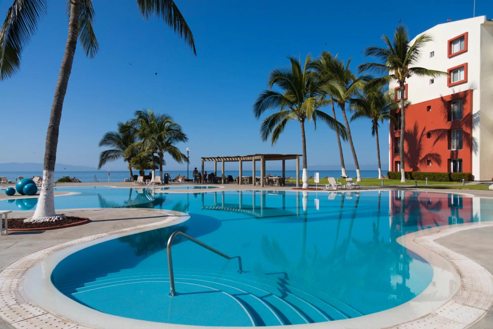 Flamingos Conchas 502