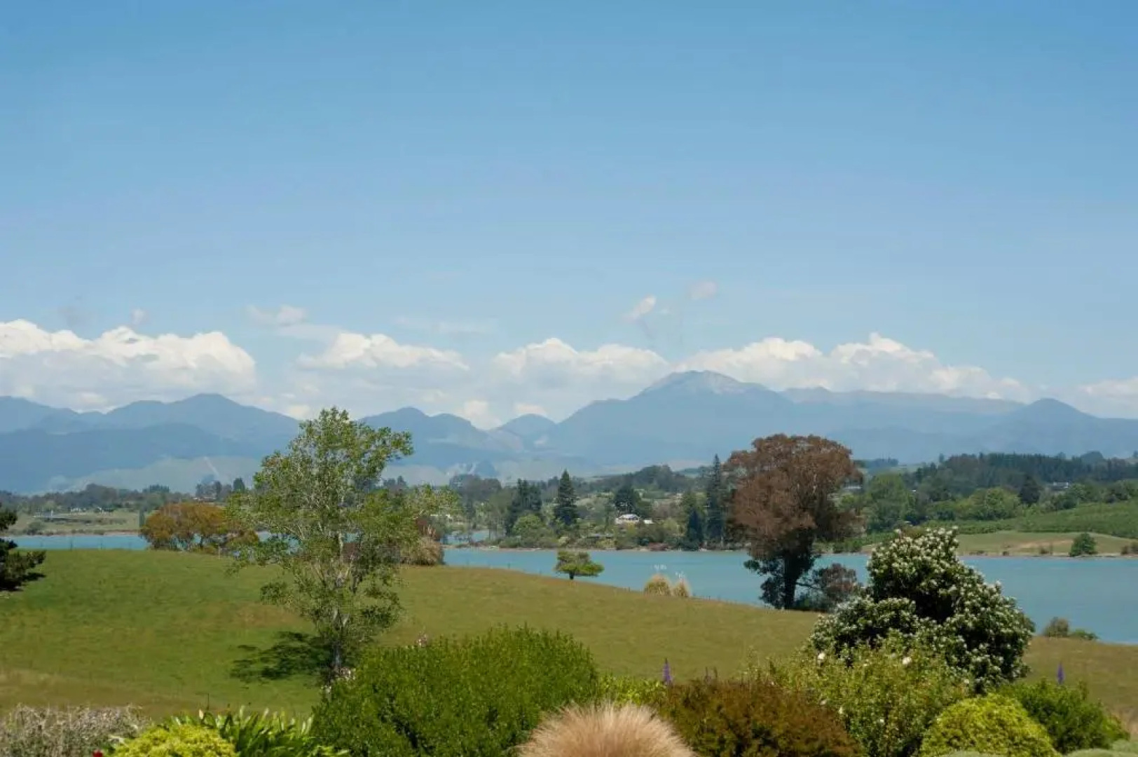 117 Higgs - Room With a View