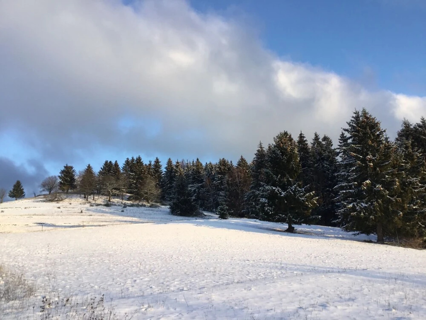 Landferienhaus Linde