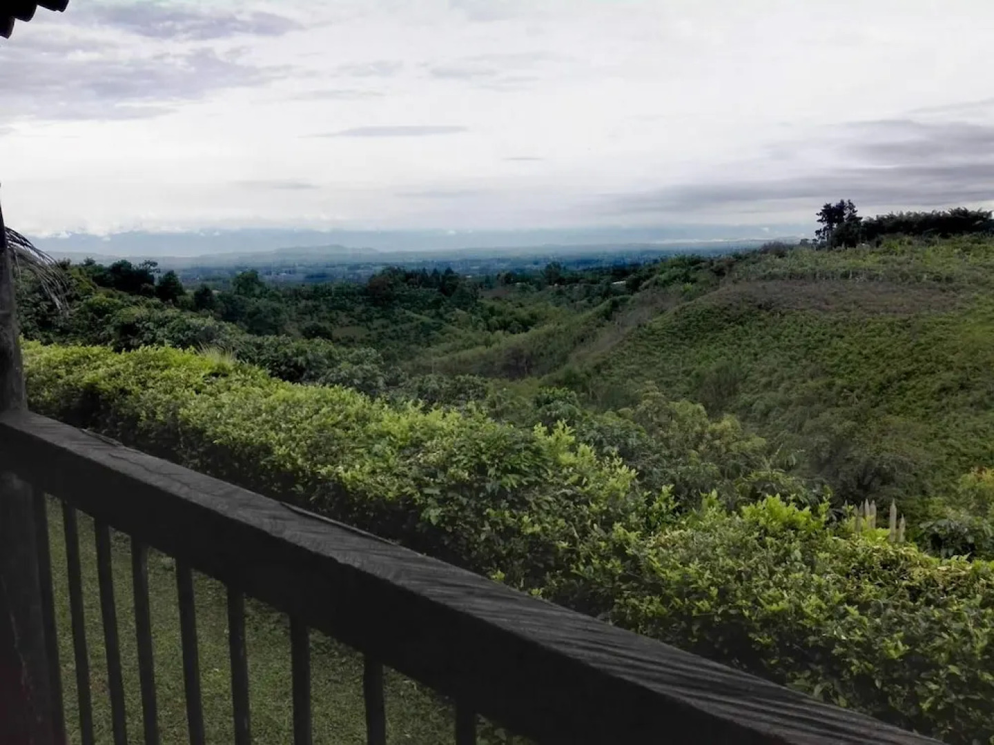 Finca Hotel Bosques del Samán Alcalá